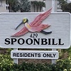 Spoonbill Preview Image